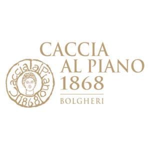 caccia al piano logo