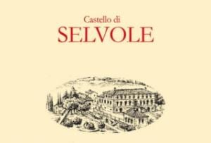 castello di selvole logo
