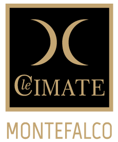 mate logo