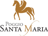santa maria logo