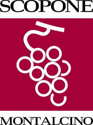scopone logo