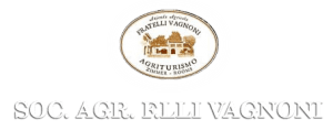 vagnoni logo