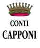 villa calcinaia logo