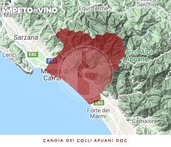 candia dei colli apuani doc logo