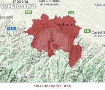 colli bolognesi doc logo