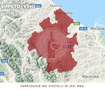 verdicchio dei castelli di jesi doc logo
