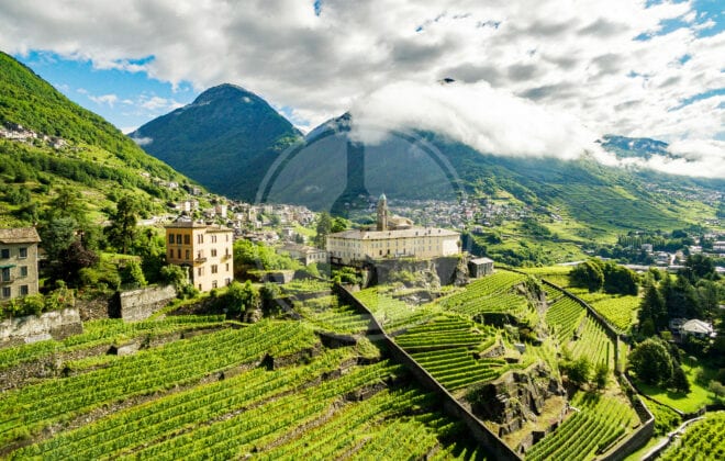 strada del vino valtellina