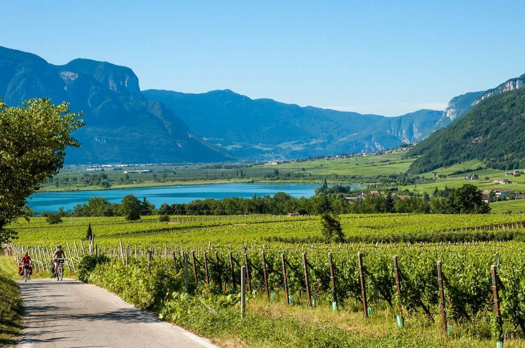 lago di garda vigneti