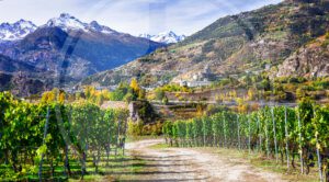 castlesandvineyardsofvalled aostawithscenicalpsmountains