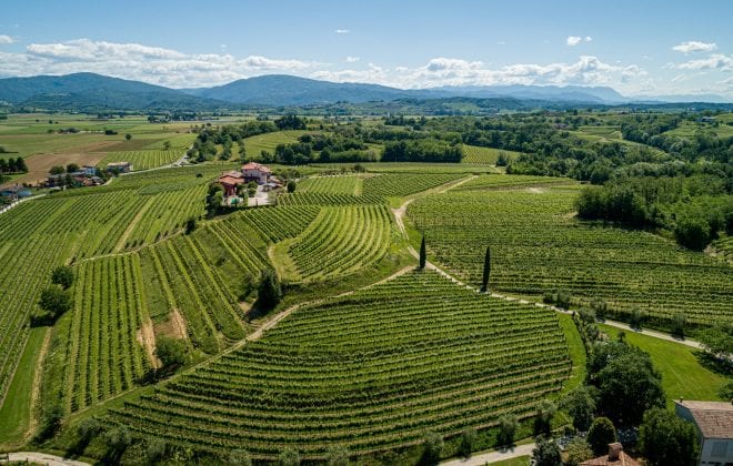 strada del vino colli orientali