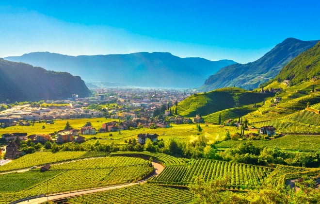 strada del vino italia