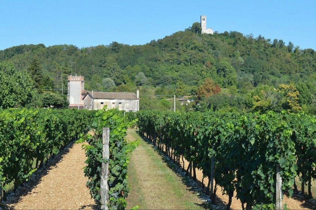 strada del vino rosazzo