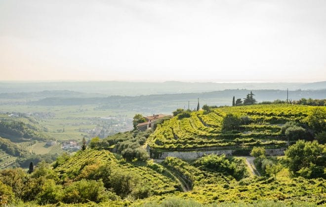 strada della valpolicella