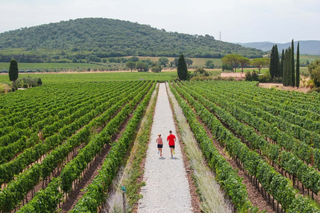 attività sportiva nella strada del vino costa degli etruschi