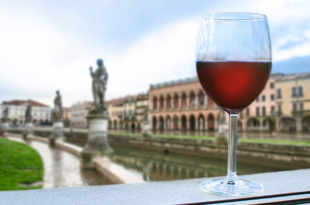 Calice di vino nella Strada del vino dei Colli Euganei 