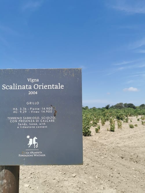 vigna scalinata orientale mozia