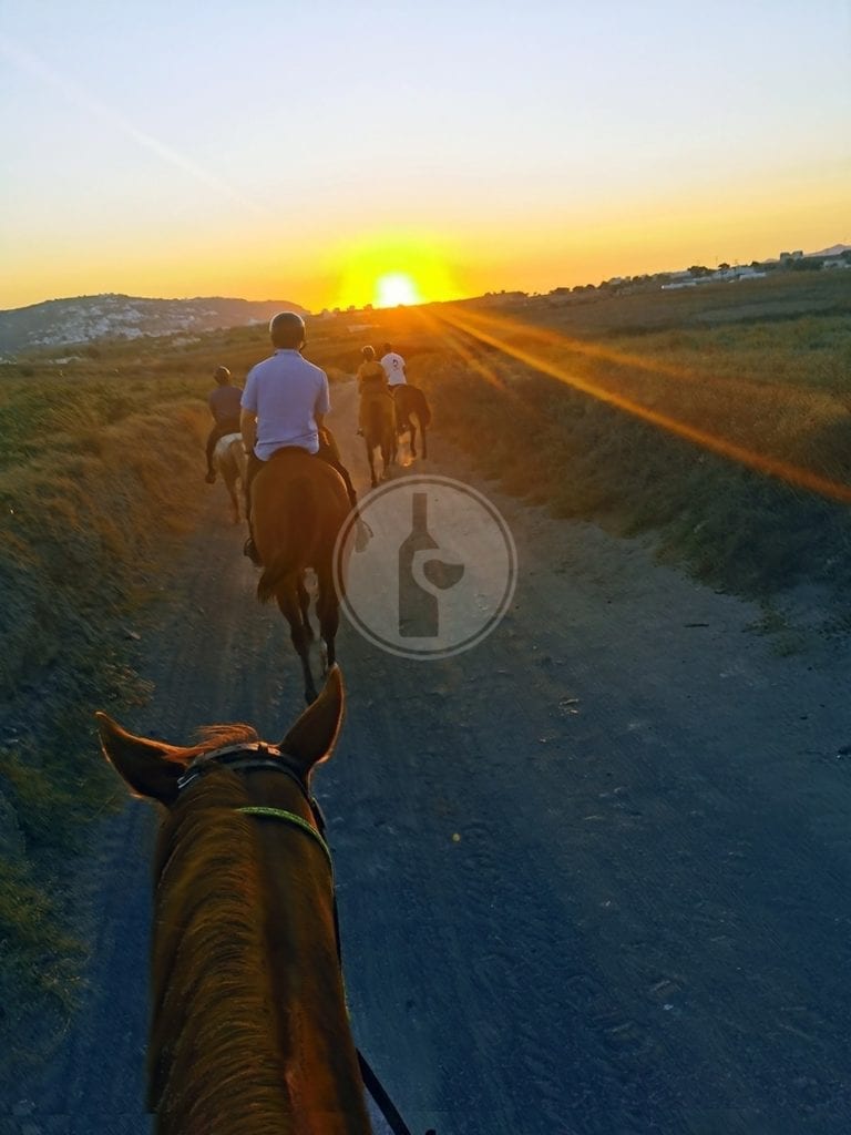 cicladi santorini gita a cavallo