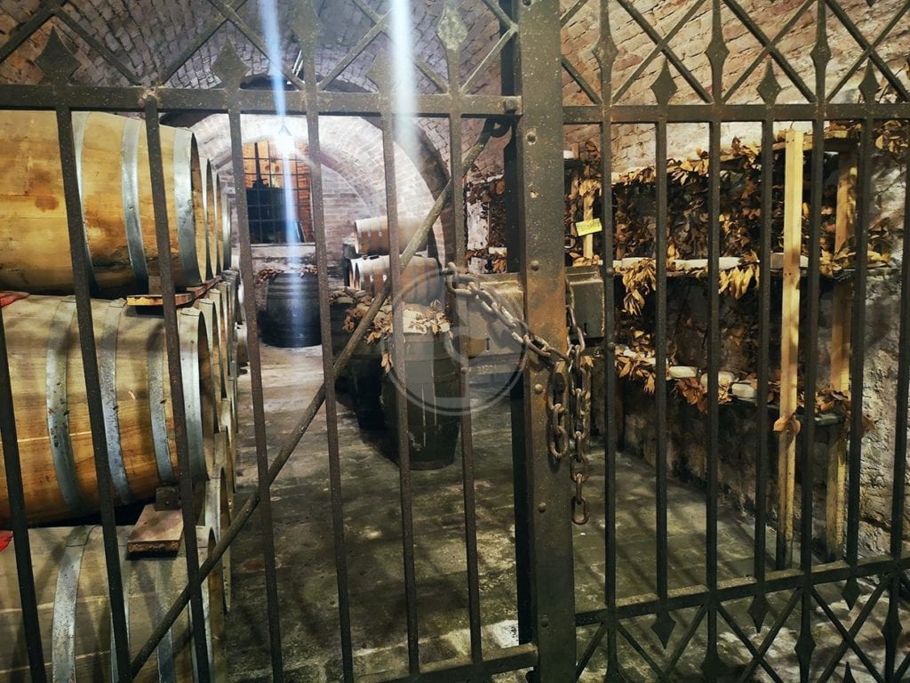 montepulciano cantina 011